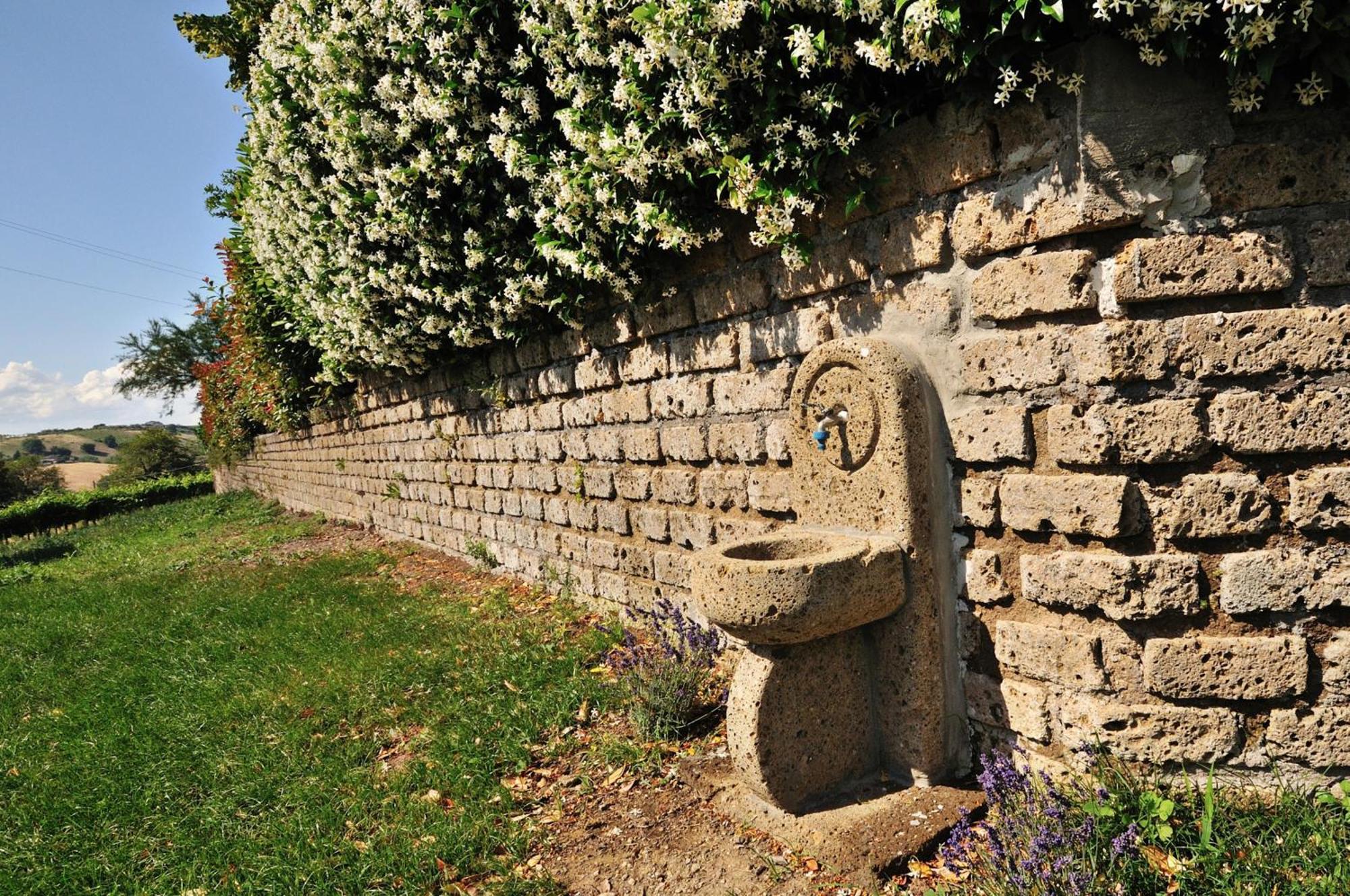 Agriturismo Casale Contessa Montebuono  ภายนอก รูปภาพ
