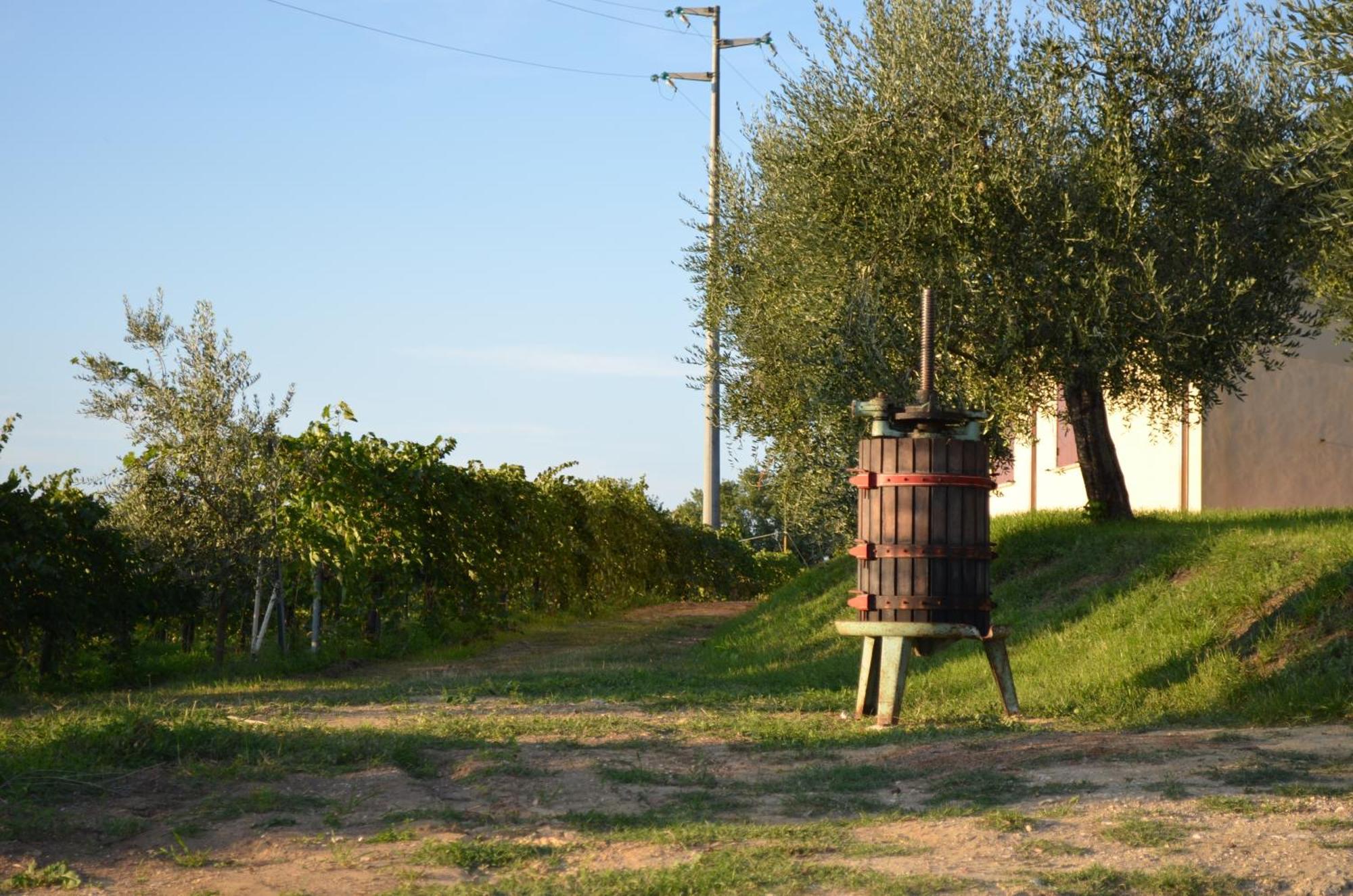 Agriturismo Casale Contessa Montebuono  ภายนอก รูปภาพ